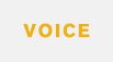 voice